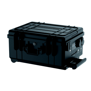 BSI3000