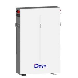 Deye RW-M6.1